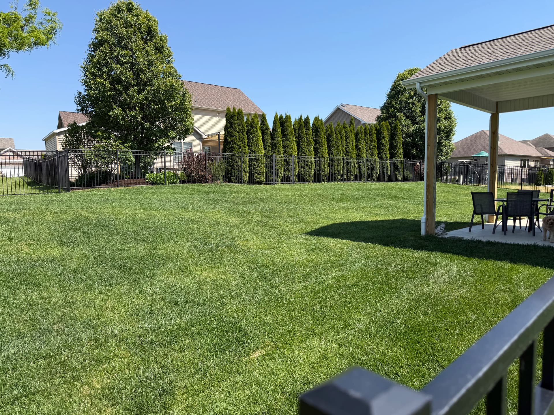 Gallery photos for Fresh Grade and Sod That's Built to Last: Image #2