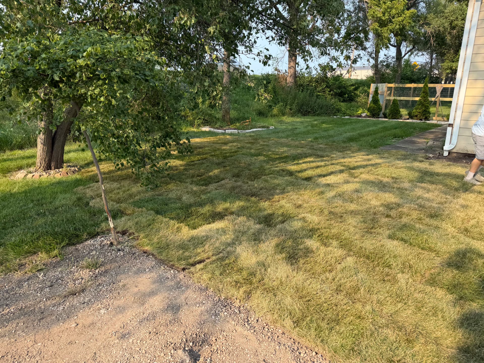 Fresh Grade and Sod Install Turns a Rough Yard Into a Usable Space image