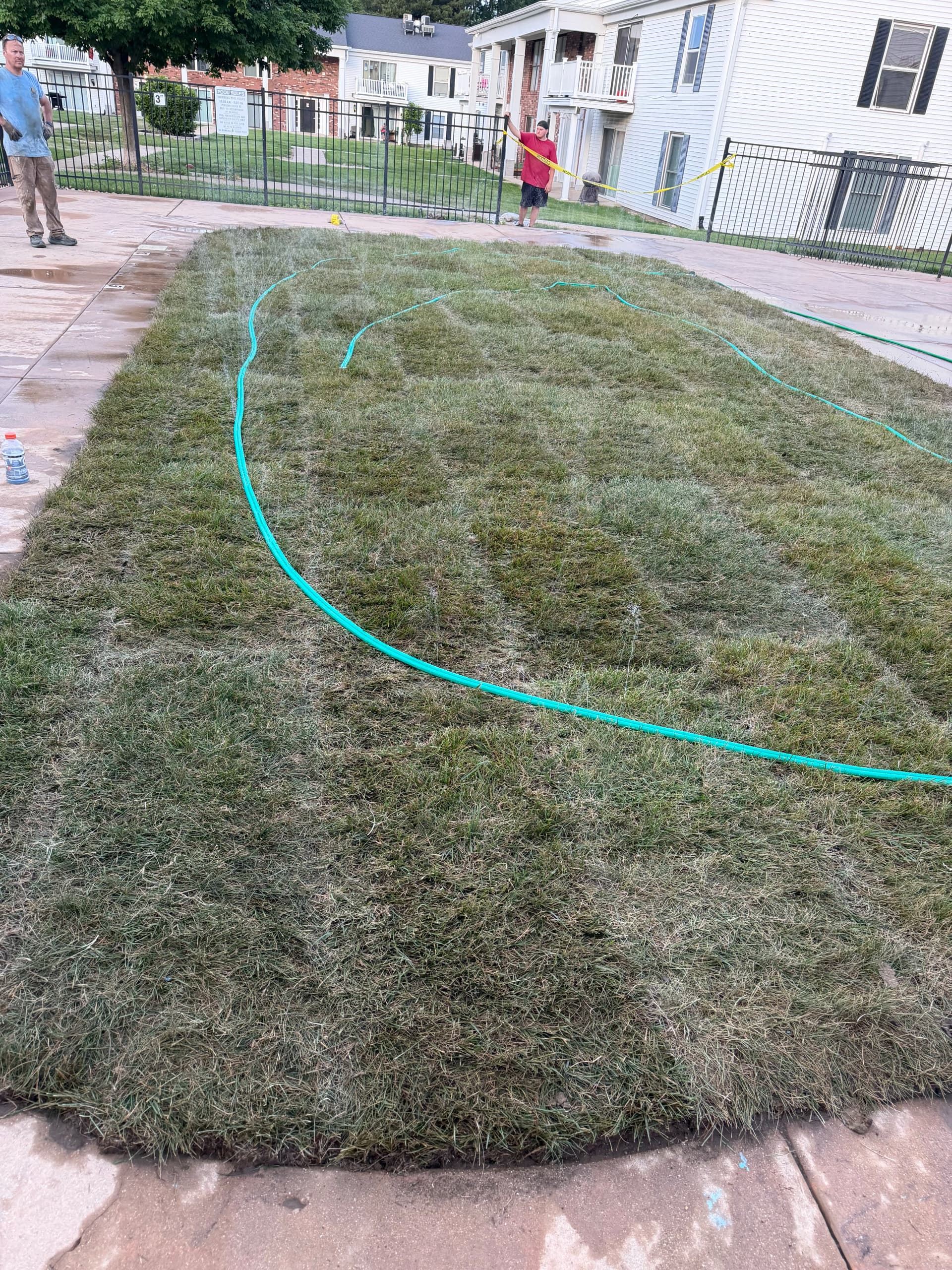 Gallery photos for We Filled an Old Pool and Laid Fresh Sod Over It: Image #1