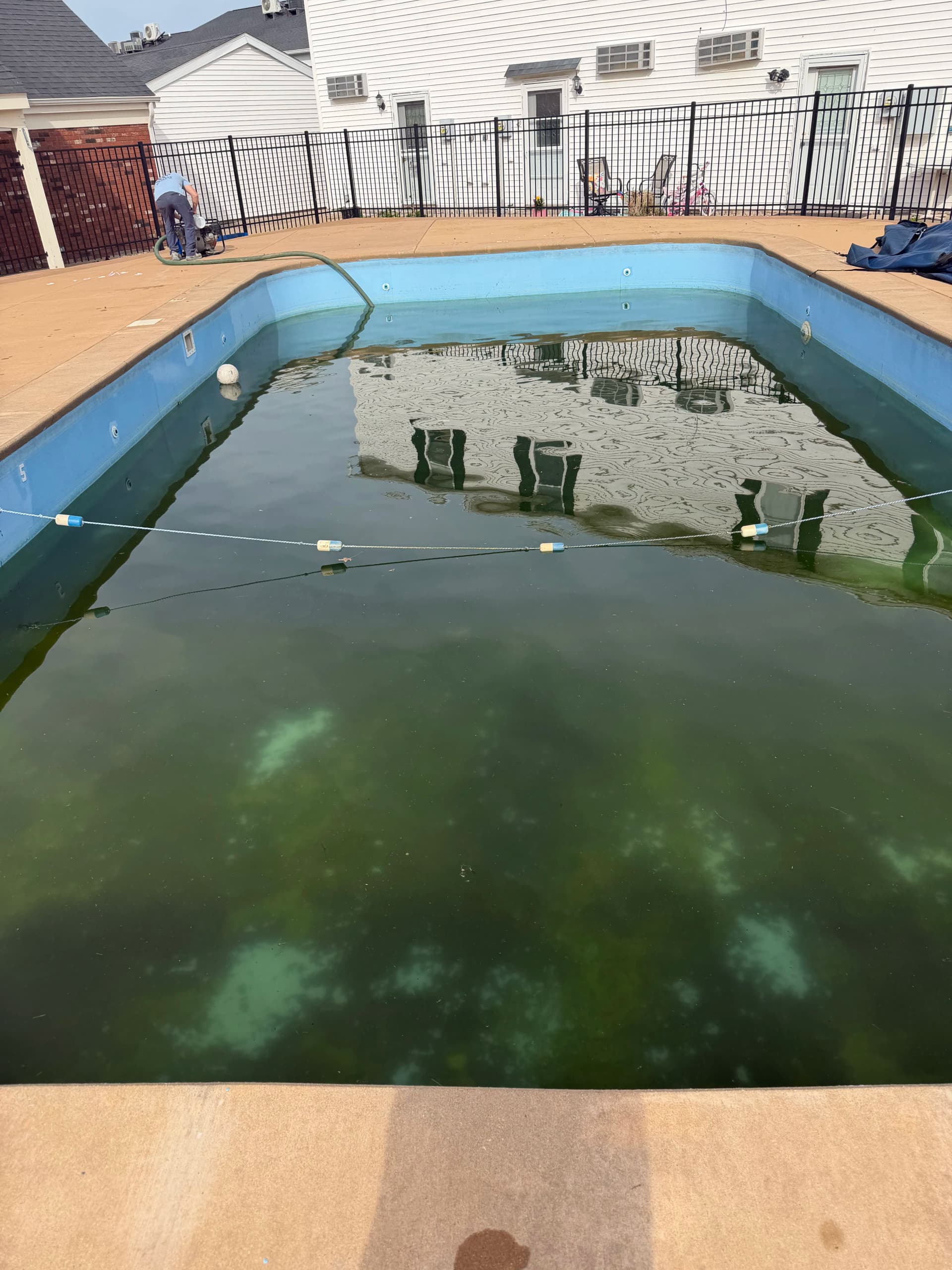 We Filled an Old Pool and Laid Fresh Sod Over It image